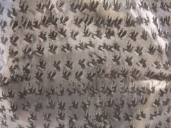 Sivupöytä Tiikki Hopea GORDON -Beliani undef src sa picid 678508 type whitesh image