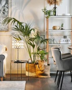 Tuoli Sametti Harmaa SANILAC -Beliani undef src sa picid 684475 type color image