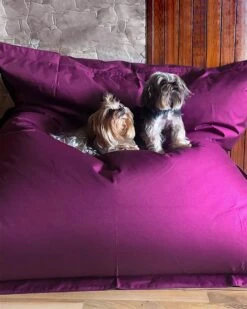 Säkkituoli Kangas Purppura 140 X 180 Cm FUZZY 12 Säkkituoli Kangas Purppura 140 X 180 Cm FUZZY -Beliani undef src sa picid 798257 type whitesh image