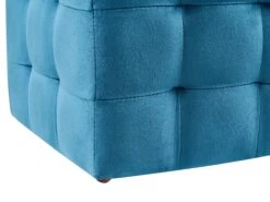 Rahi Sametti Säilytystila Tummansininen 72 X 42 Cm MICHIGAN 17 Rahi Sametti Säilytystila Tummansininen 72 X 42 Cm MICHIGAN -Beliani undef src sa picid 804680 type whitesh image