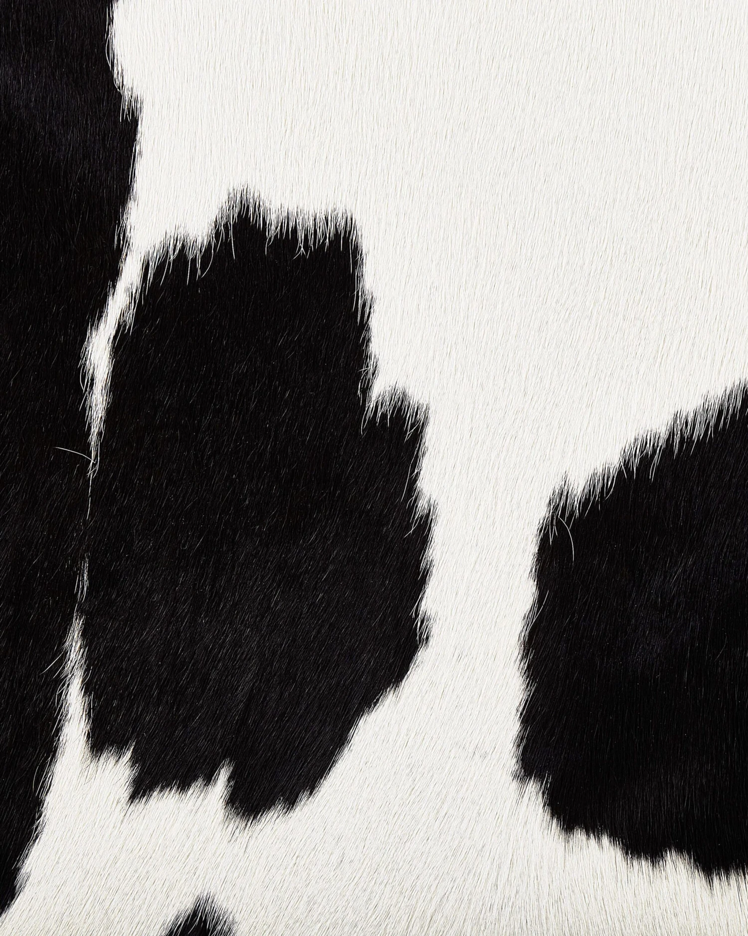 Lehmäntalja Musta/valkoinen NASQU Useita Kokoja - Image 3