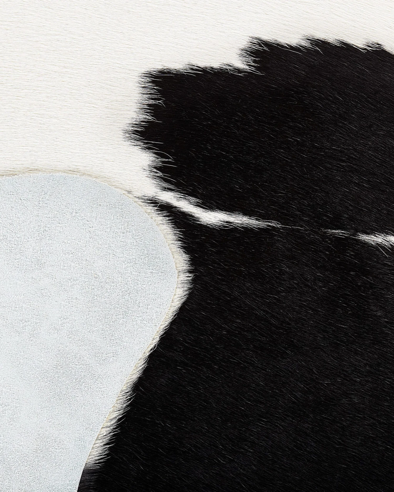 Lehmäntalja Musta/valkoinen NASQU Useita Kokoja - Image 4