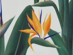 Ulkotyyny Vihreä/valkoinen 45 X 45 Cm 2 Kpl TSOTYLI -Beliani undef src sa picid 818645 type whitesh image