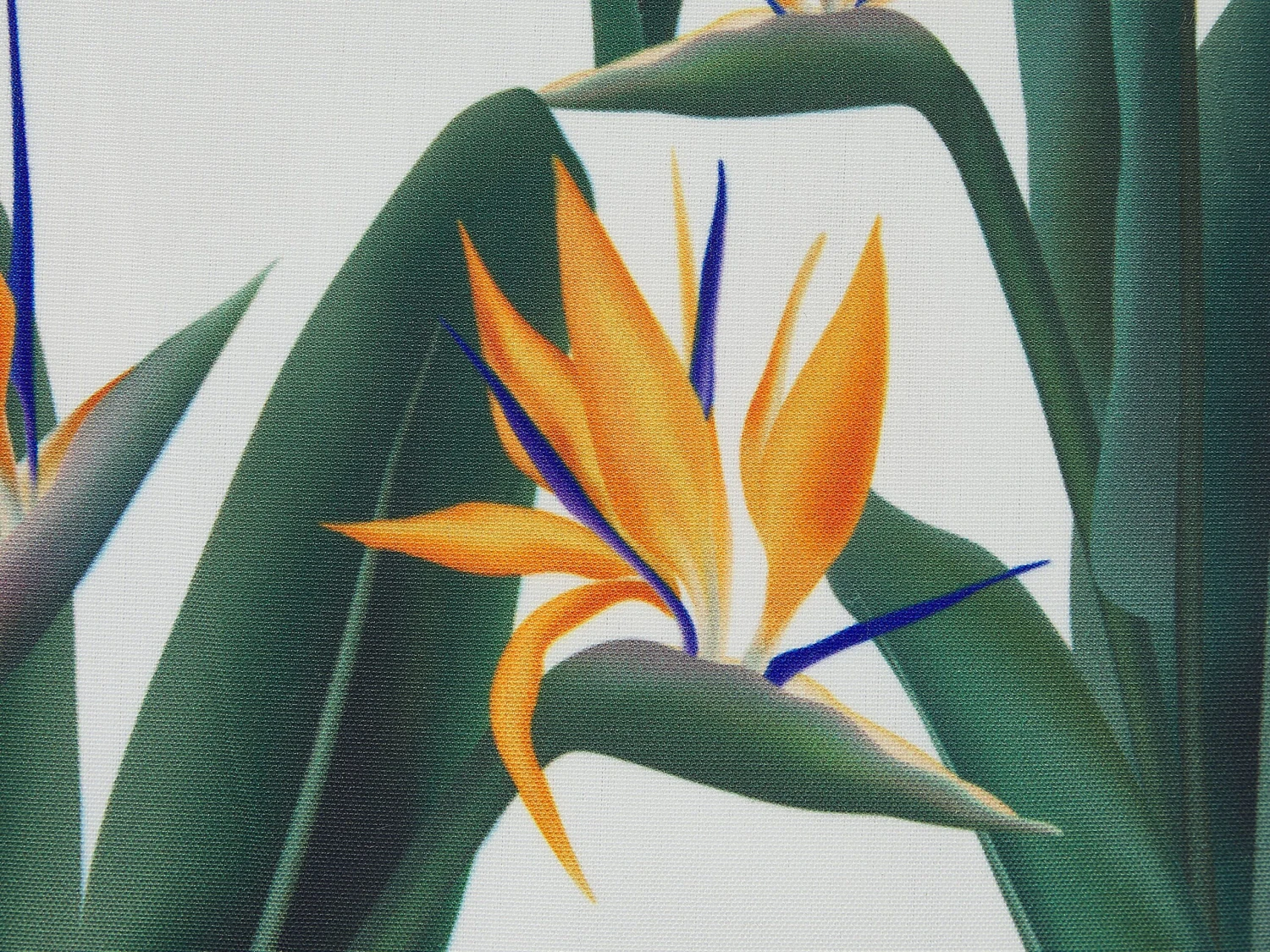 Ulkotyyny Vihreä/valkoinen 45 X 45 Cm 2 Kpl TSOTYLI - Image 10