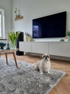 Matto Kangas Vaaleanharmaa EVREN Useita Kokoja 13 Matto Kangas Vaaleanharmaa EVREN Useita Kokoja -Beliani undef src sa picid 818923 type whitesh image