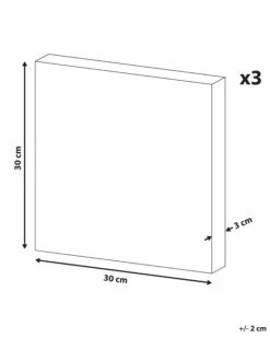Canvas-taulu Monivärinen 30 X 30 Cm 3 Kpl Setti TILLIA -Beliani undef src sa picid 819747 type whitesh image