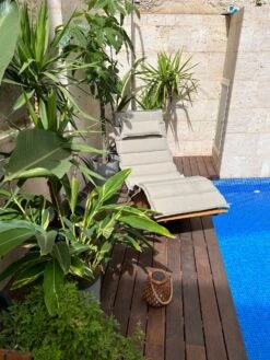 Lepotuoli Ruskeanharmaalla Pehmusteella BRESCIA 12 Lepotuoli Ruskeanharmaalla Pehmusteella BRESCIA -Beliani undef src sa picid 826332 type whitesh image