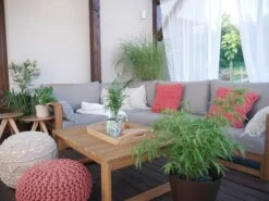 Koristetyyny Puuvilla Oranssi Makramee 45 X 45 Cm 2 Kpl AKKOY 13 Koristetyyny Puuvilla Oranssi Makramee 45 X 45 Cm 2 Kpl AKKOY -Beliani undef src sa picid 831226 type whitesh image